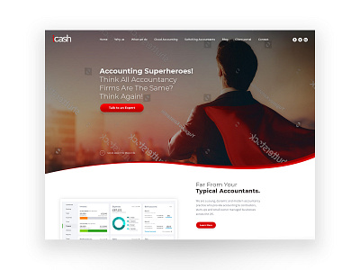 Icash accountant accounts business clean corporation design illustration management modern payroll superhero tax ui ui design ui designer web design web designer webdesign website design