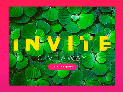 2x Dribbble Invites