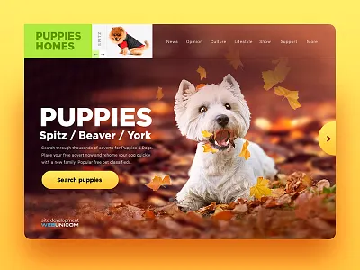 Puppies animation dog landing landing page layout minimal puppies site sun