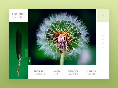 feather design fashion landing landing page layout minimal site template typography ui ux web website