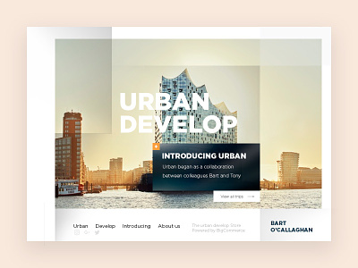 Develop concept design landing landing page layout minimal site template typography ui ux web website