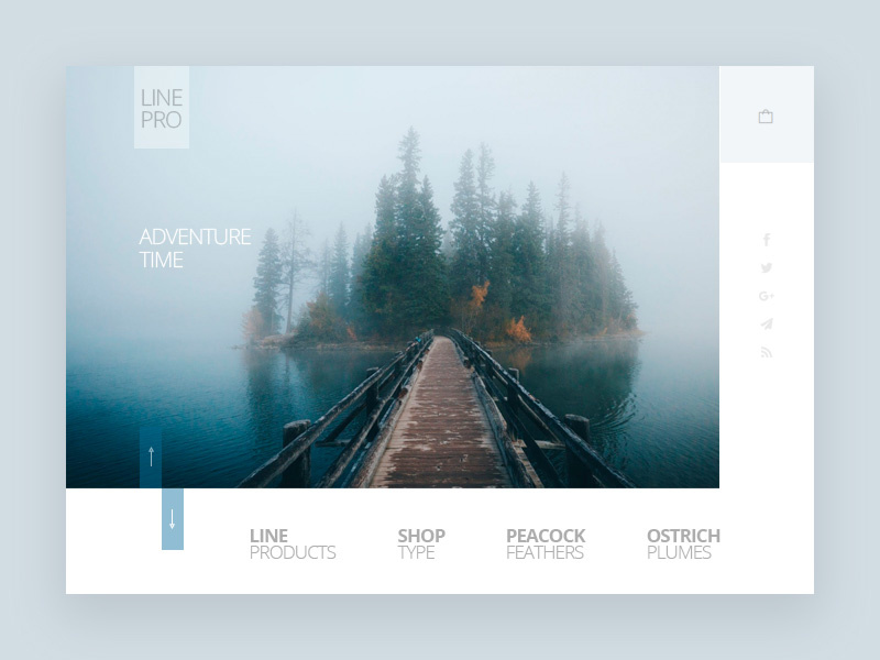 Line by Dmitry Kondakoff on Dribbble