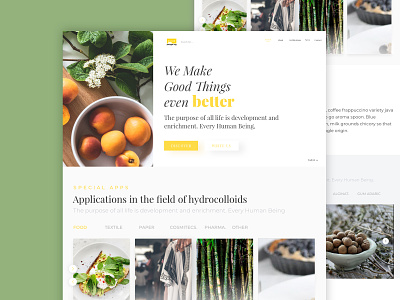 Polygal Website agency clean design ui ux food minimal uidesigner uxdesigner web white