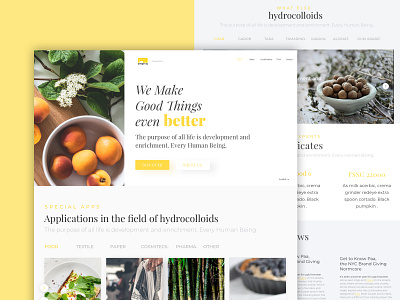 Polygal agency clean food minimal ux designer web