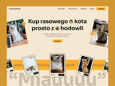 Luxury Cats - Website Concept