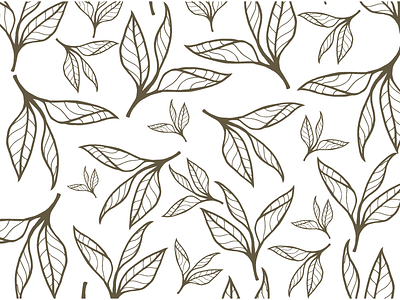 Pattern Designs