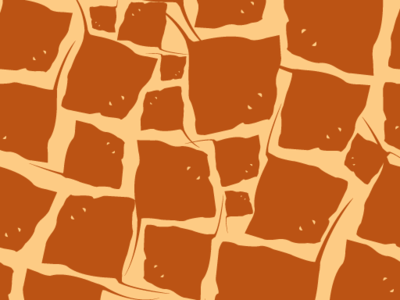 Pattern - Giraffe skin