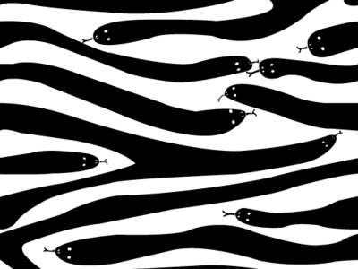 pattern - zebra skin