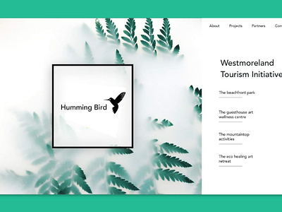 Web design humming bird web design