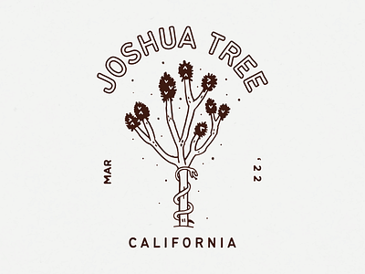 Joshua Tree branding california desert illustration joshua tree kansas city t shirt