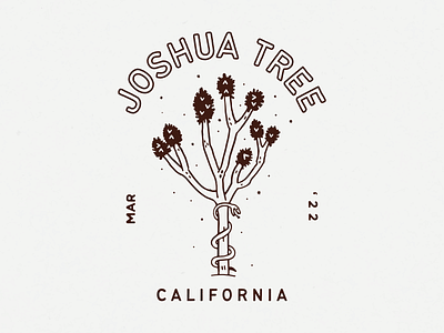 Joshua Tree