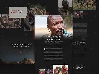 Reuters: Moments of Wonder design film interactive photograhy photoshop typography ui web web design
