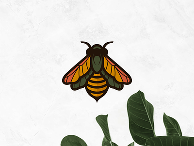 Cambridge Bee bee beelogo branding cartoon character design flat icon illustration logo symbol vector