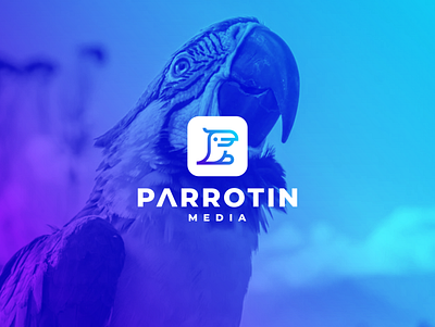 Parrotin Media app branding character design icon logo media parrots symbol ui ux vector web