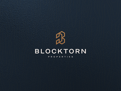 Blocktorn architecture design desihn icon lettering lettermark logo monogram pattern property symbol typography vector