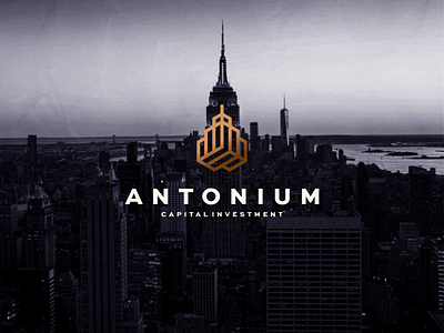 Antonium - Capital Investment