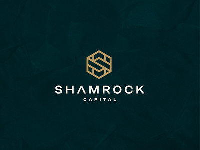 Shamrock Capital accounting branding character consulting design hexagonal icon logo sletter symbol vector