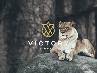 Victory Lion Ltd