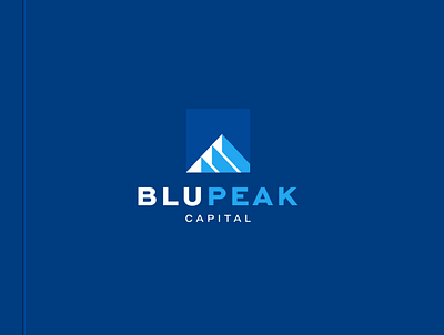 Blupeak Capital accounting blue branding business capital character design finance icon illustration logo mountain peak symbol vector