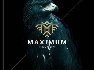 Maximum Falcon bird branding character design designlogo eagle falcon icon illustration logo logogram logotype symbol vector