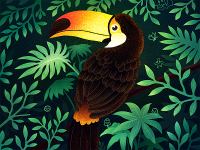 A Toucan in the jungle bird illustration jungle toucan