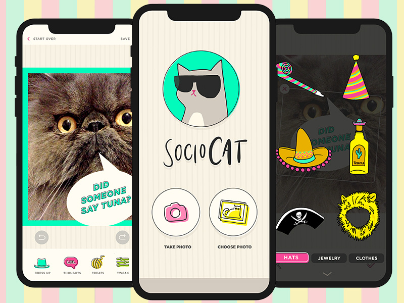 Sociocat App Design photography ios uxui creative director art direction sociocat flat mockup illustration design app