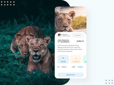 Animal app concept @concept @minimal @ui @ux animal clean app landing