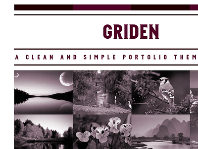 GRIDEN single page web design website design wordpress them