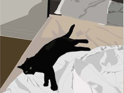Making The Bed black cat cat illustration lifestyle lifestyle illustration morning light toronto