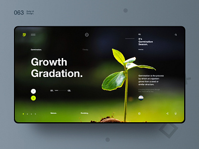 Si™ Daily Ui Design 063