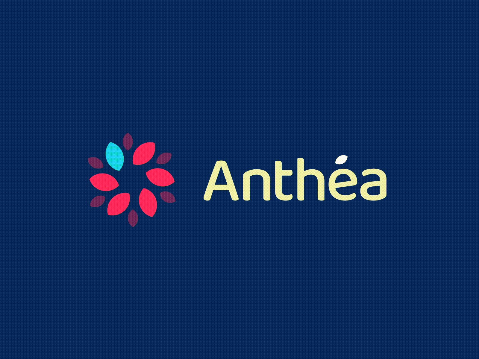 Anthéa - Logo Design after effects animation art direction branding design flower health health care illustrator logo logo design logotype motion pink vector