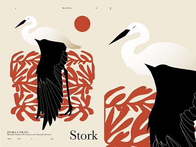 Stork 2 abstract abstract pattern animal bird bird illustration composition floral form illustration laconic layout lines minimal poster stork