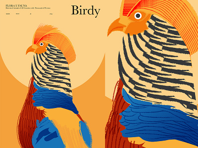 Birdy