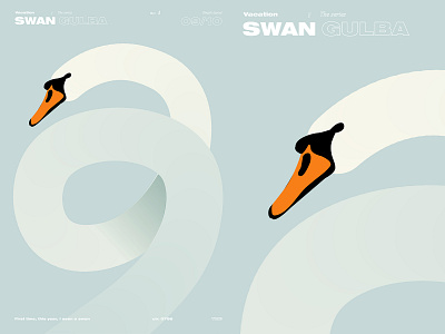 Swan abstract animal animal illustration composition illustration laconic letter lines minimal poster poster art swan swan illustration two