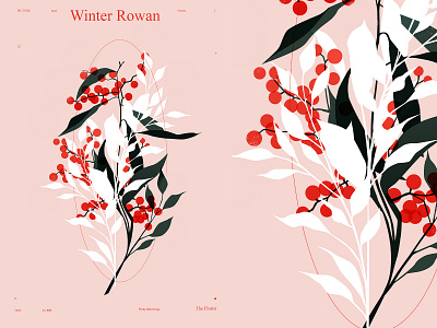 Winter Rowan abstract berry composition floral floral art floral design florals illustration laconic leaf leaves lines minimal poster poster art rowan