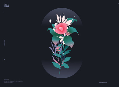 Little universe abstract colorfull composition floral illustration flower illustration flowers flowers illustration illustration laconic layout leaves lines minimal poster poster art