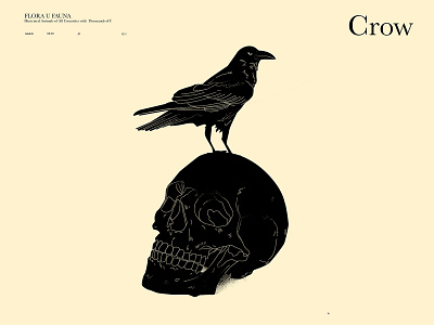 Crow and skull abstract composition crow crow illustration design greunge grunge texture illustration laconic lines minimal poster skull skull illustration