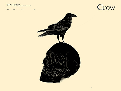 Crow and skull