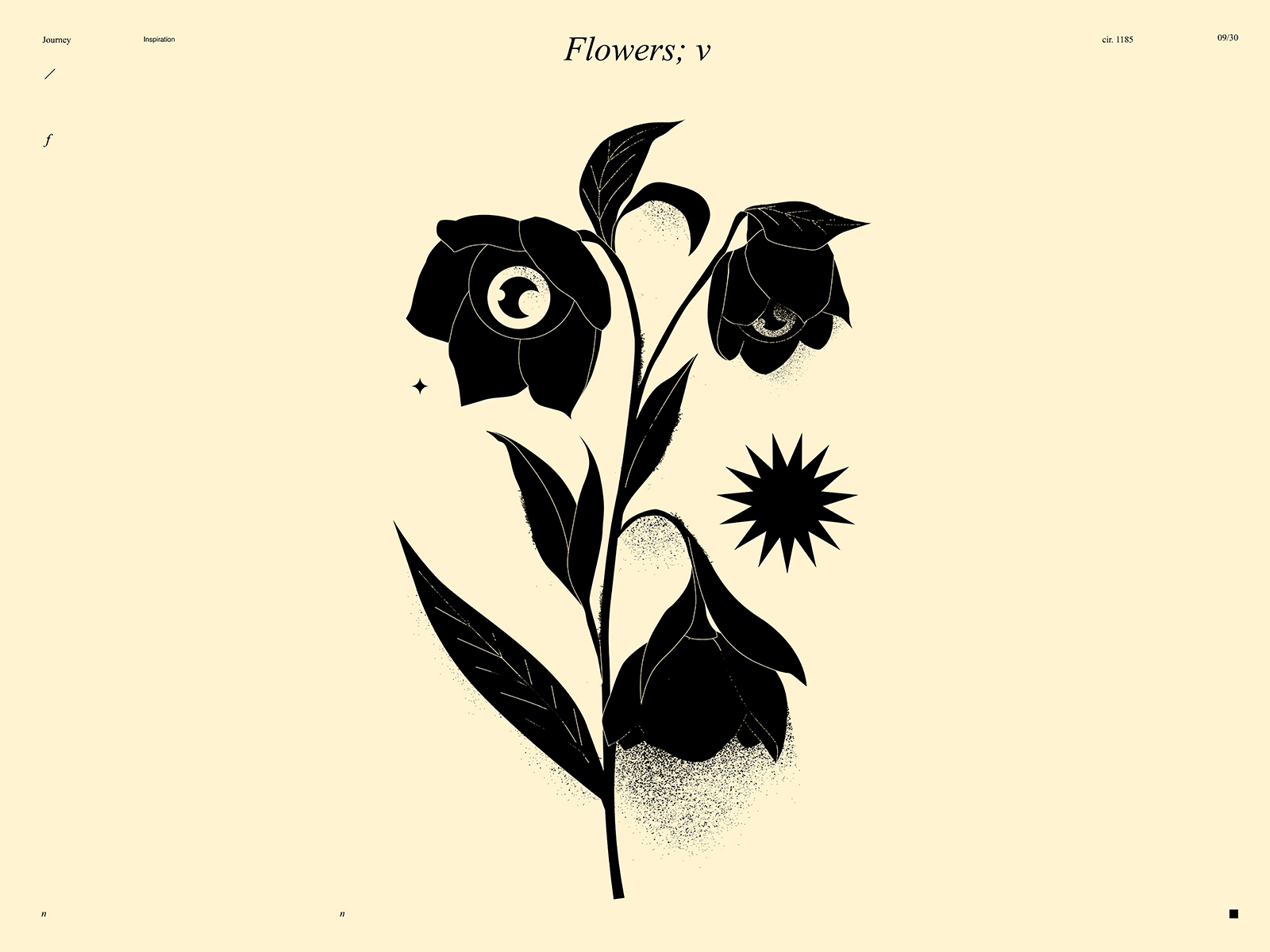 Flowers V by Rokas Aleliunas on Dribbble