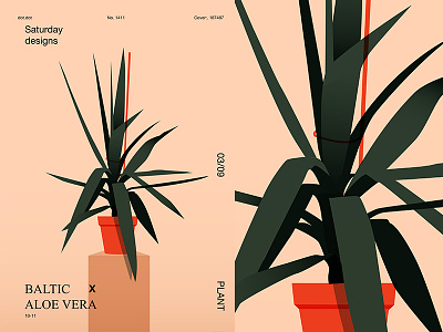 Aloe Vera abstract aloe aloe vera composition floral flower form fragment illustration laconic layout lines minimal poster poster a day poster art poster challenge
