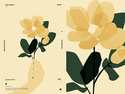 Flower abstract composition flower flower crown form fragment hand illustration laconic layout minimal poster poster a day poster art poster challenge