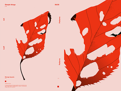 Eaten Leaf abstract composition floral floral background form fragment grid illustration laconic layout leaf leaves lines minimal poster poster a day poster art poster challenge