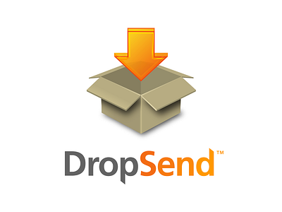 DropSend Logo branding icon identity illustration logo logotype mark orange