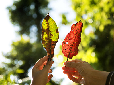 Autumn together :)