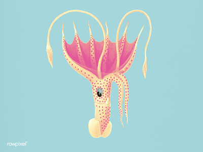 Monster animal art creative illustration monster squid