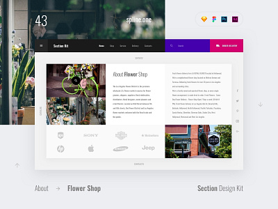 42 Flower Shop adobe xd download interface psd sketch typography ui ui blocks ui kit ux web web interface