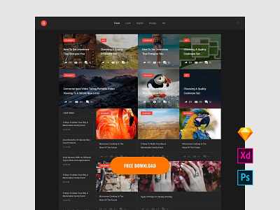 Free News Template download sketch ui ui kit ux web