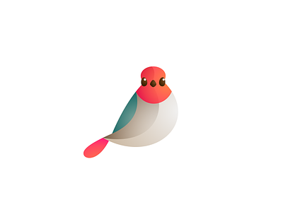 Bird concept