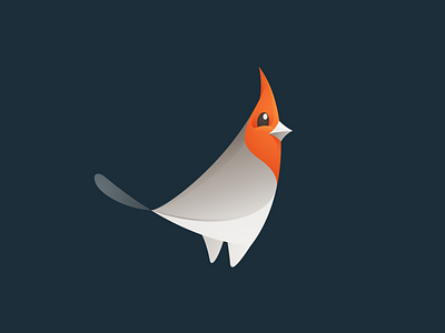 Red crested cardinal bird concept bird bird logo cardinal crested icon logo mark red