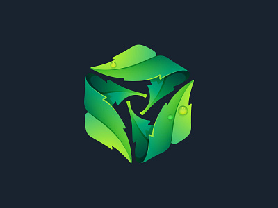 Eco icon proposal. Three leaves in a hexagon. eco hexagon icon leaf logo mark